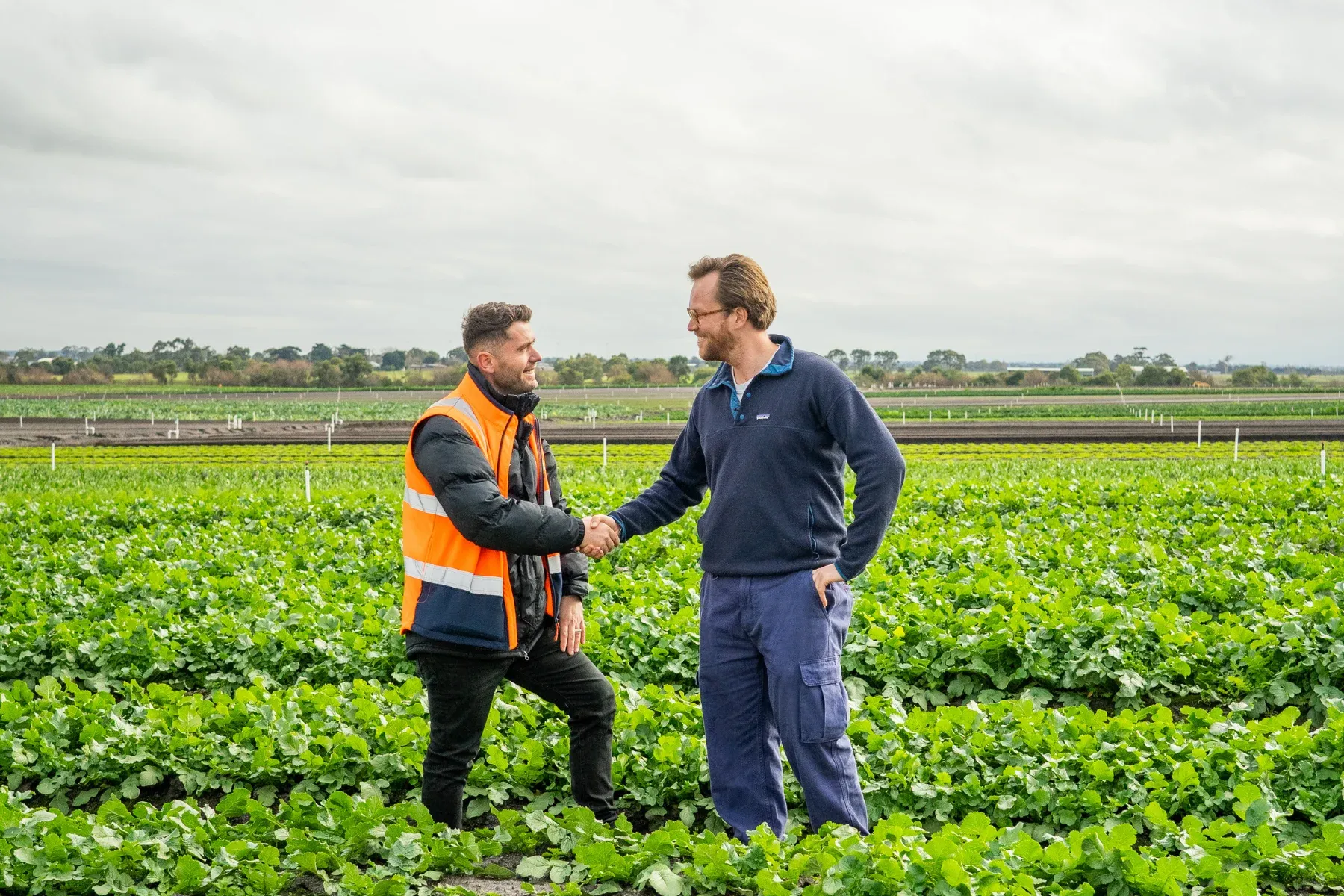 Malok Farmer
