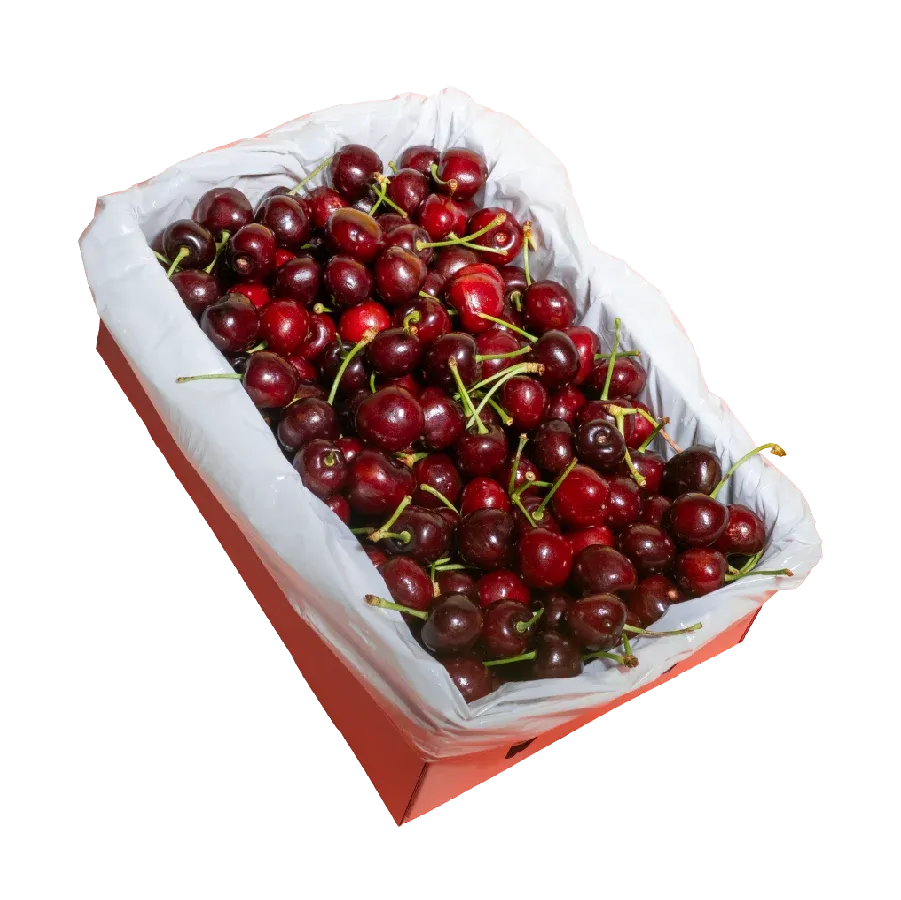 2kg open cherry box