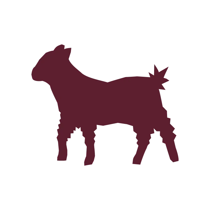 Lamb