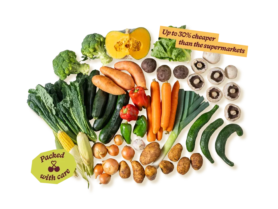 Large Veg Hero