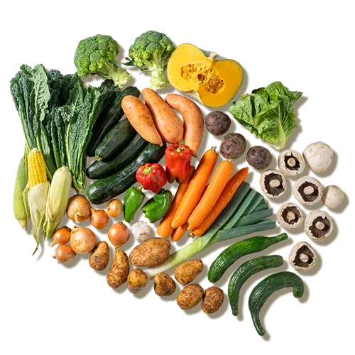 Large Veg
