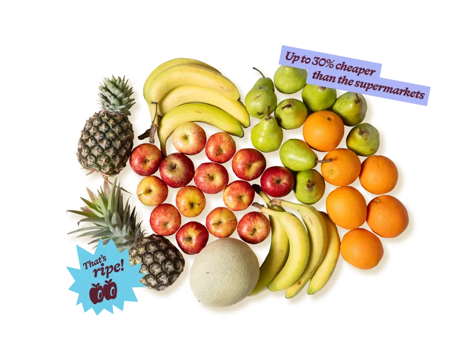 Medium Fruit Hero