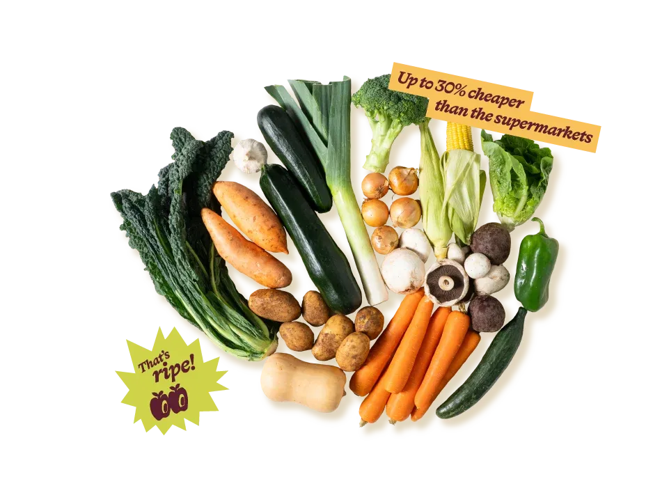 Medium Veg Hero