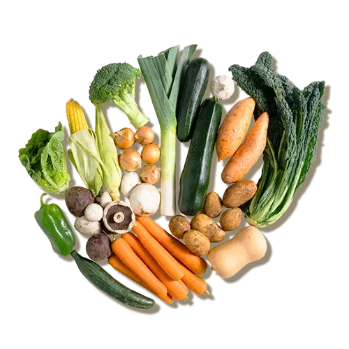 Medium Veg