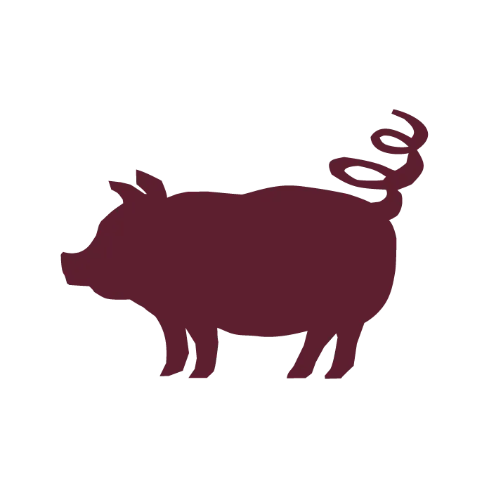 Pig