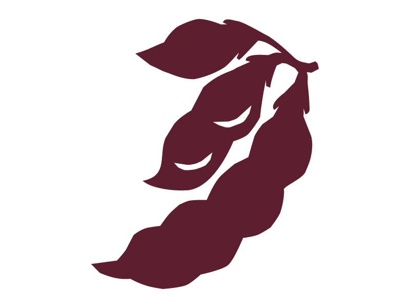 Slider Icons-Bean Pods