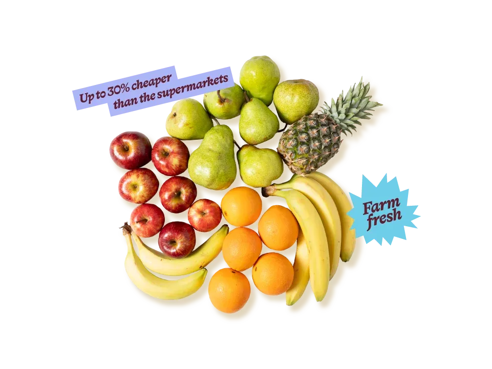 Small Fruit Hero