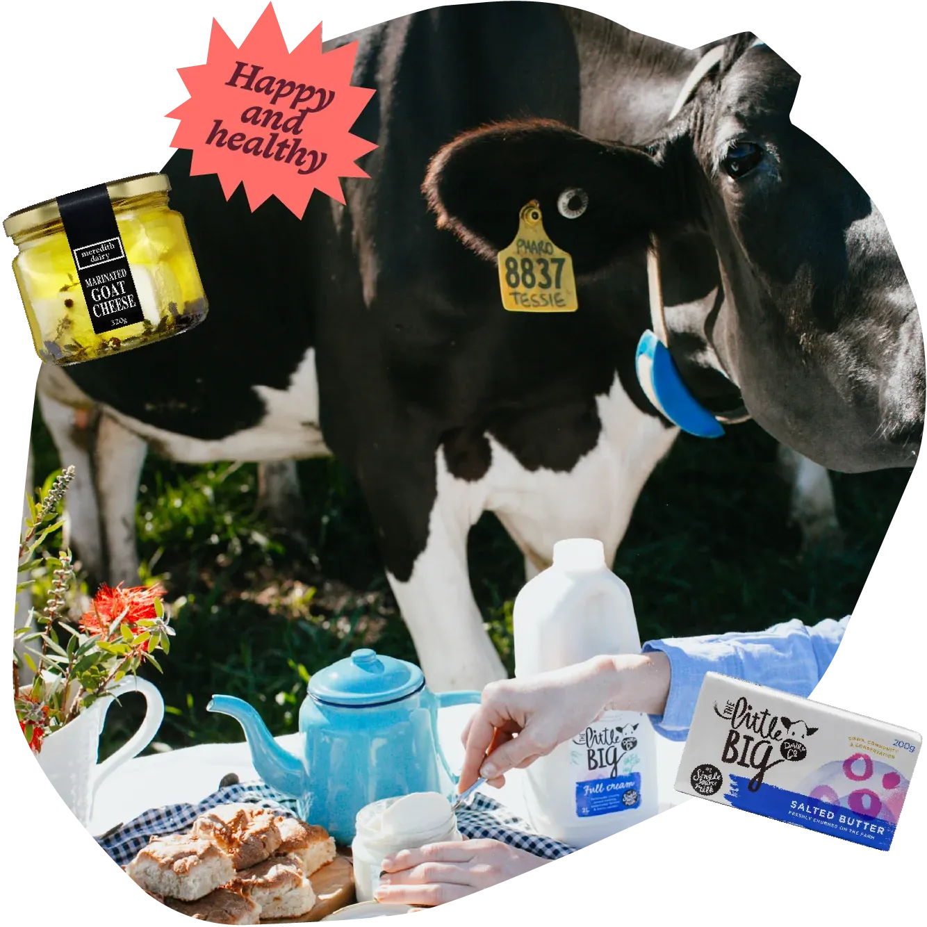 Sourcing Dairy