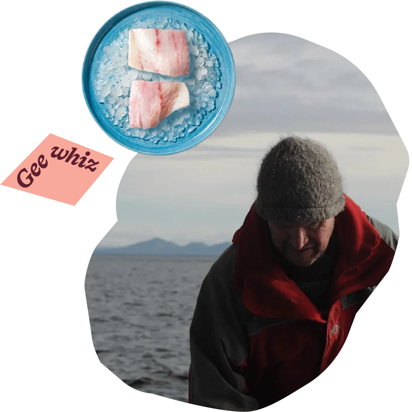 Sourcing Seafood